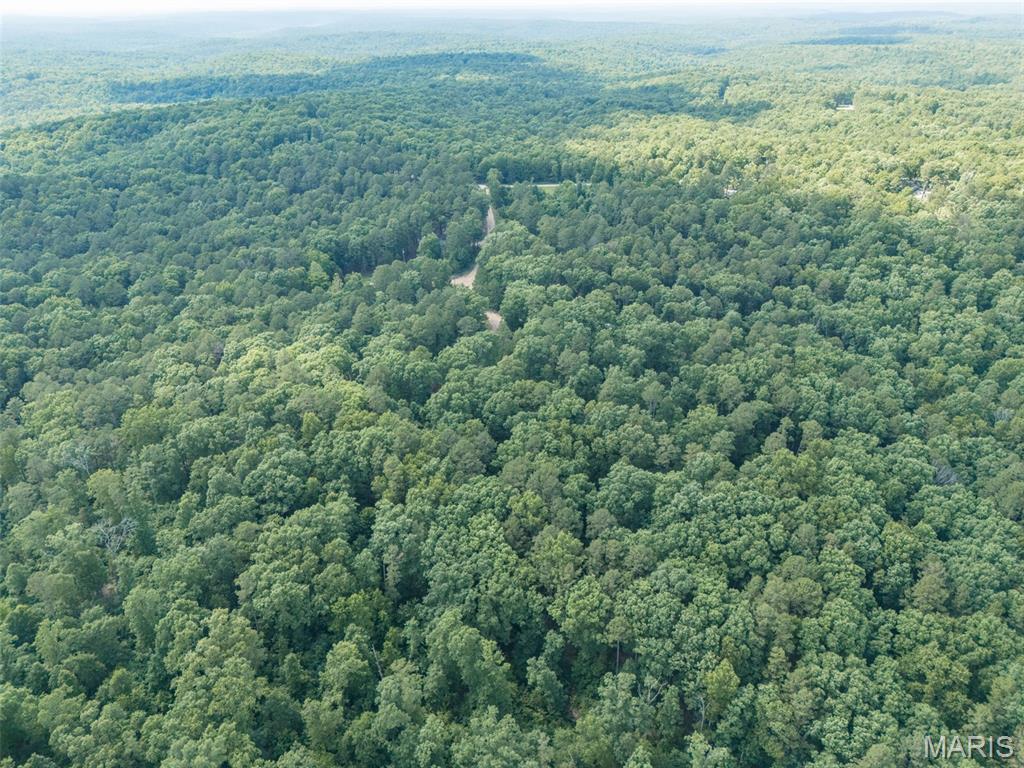 10130 Fish Hook Road Property Photo 6