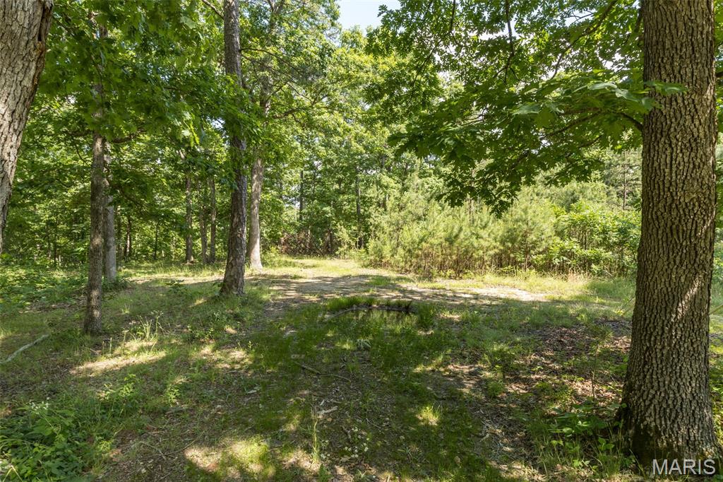 10130 Fish Hook Road Property Photo 8