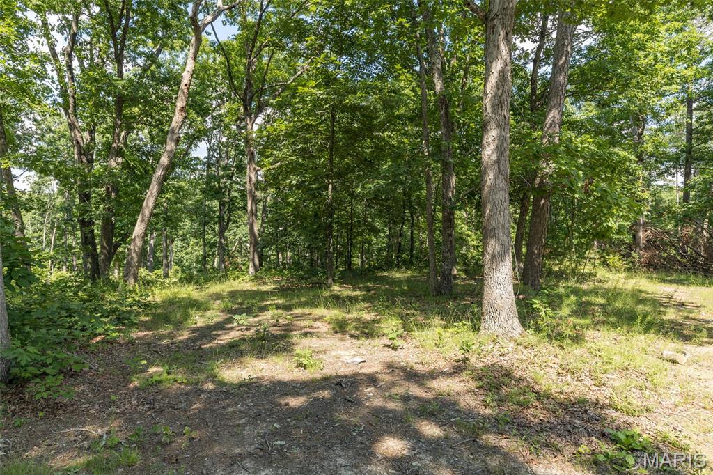 10130 Fish Hook Road Property Photo 9
