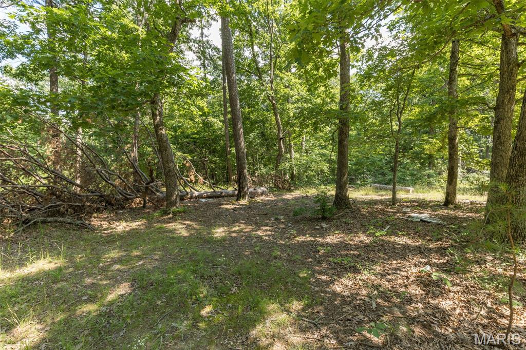 10130 Fish Hook Road Property Photo 10