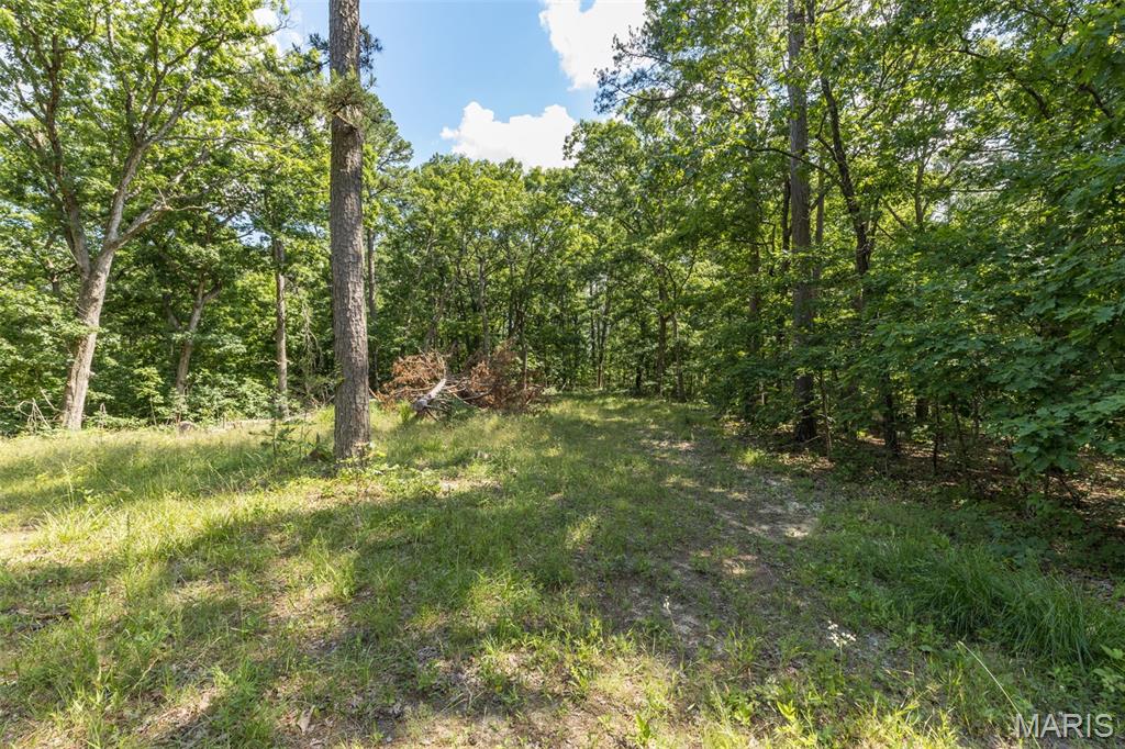 10130 Fish Hook Road Property Photo 11