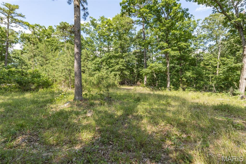 10130 Fish Hook Road Property Photo 12