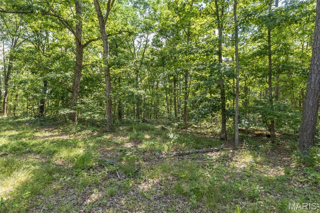 10130 Fish Hook Road Property Photo 13