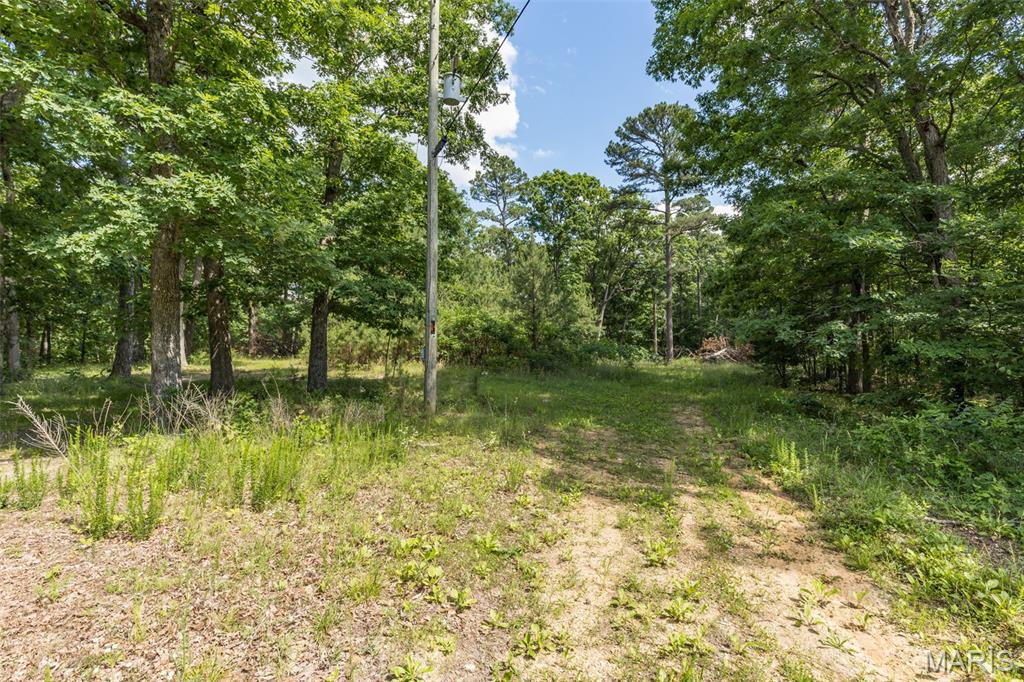 10130 Fish Hook Road Property Photo 15