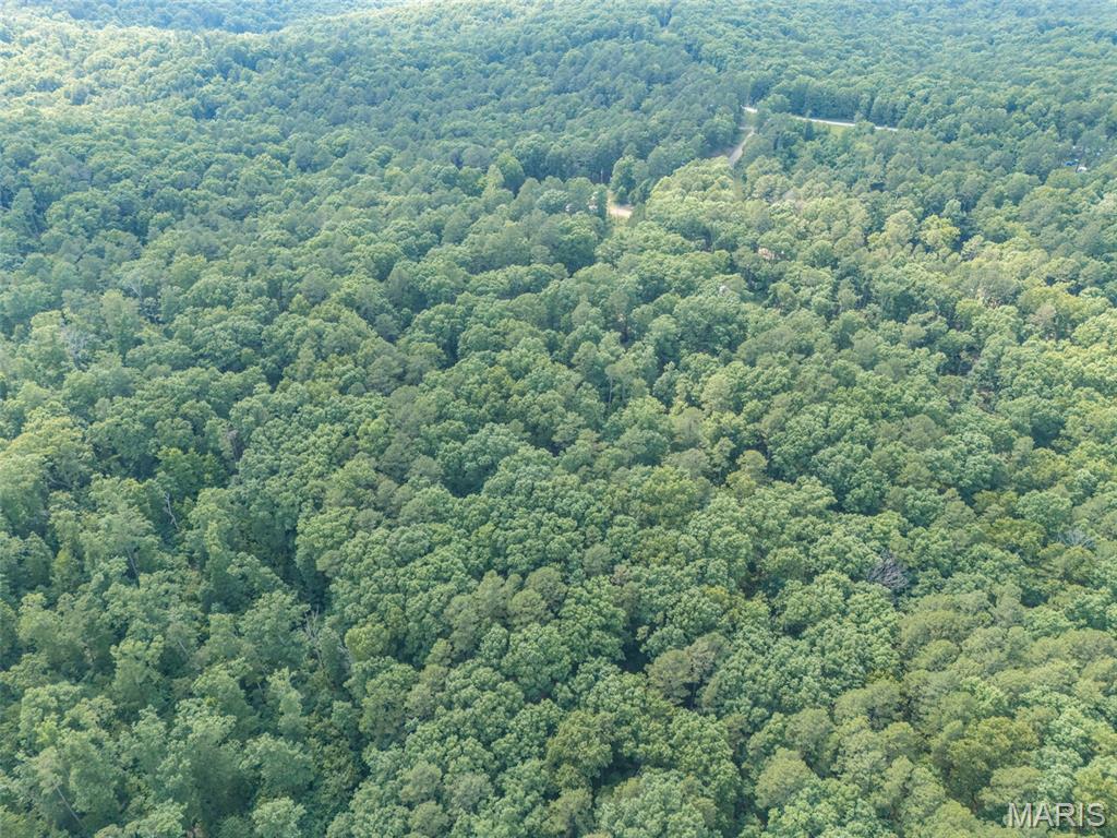 10130 Fish Hook Road Property Photo 16