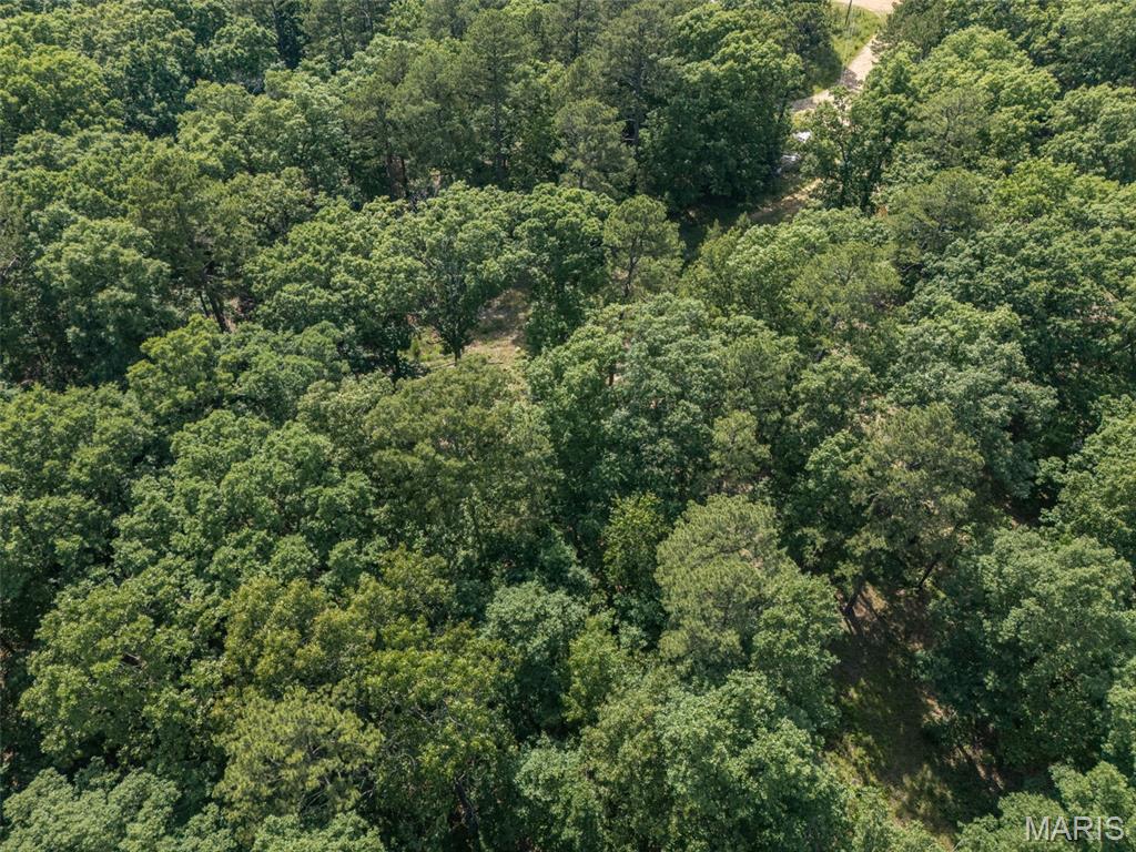 10130 Fish Hook Road Property Photo 18