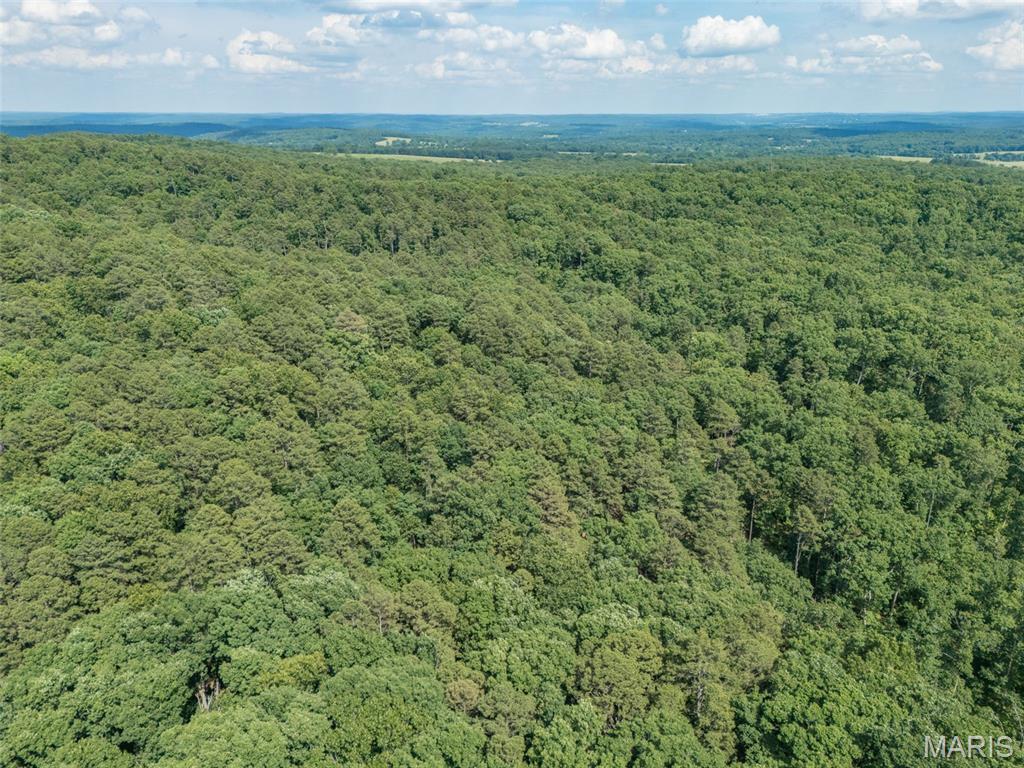 10130 Fish Hook Road Property Photo 20