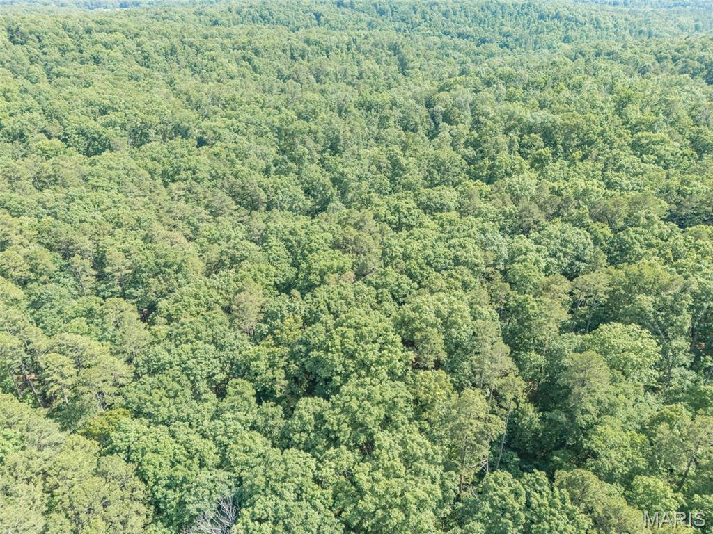 10130 Fish Hook Road Property Photo 22