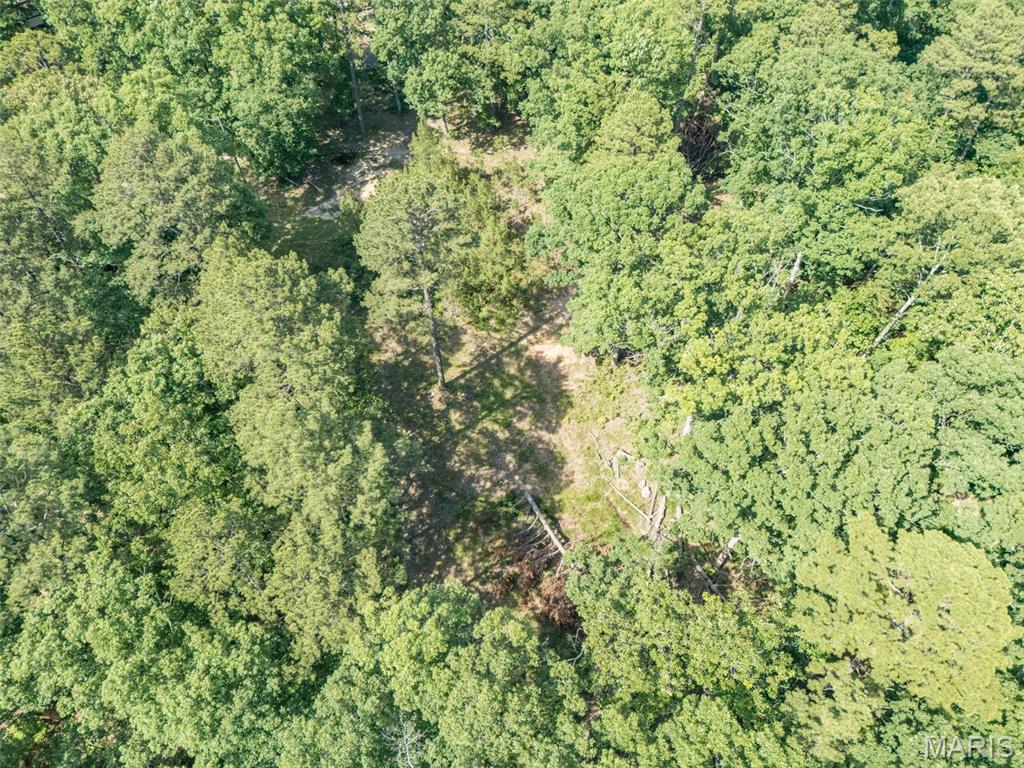 10130 Fish Hook Road Property Photo 23