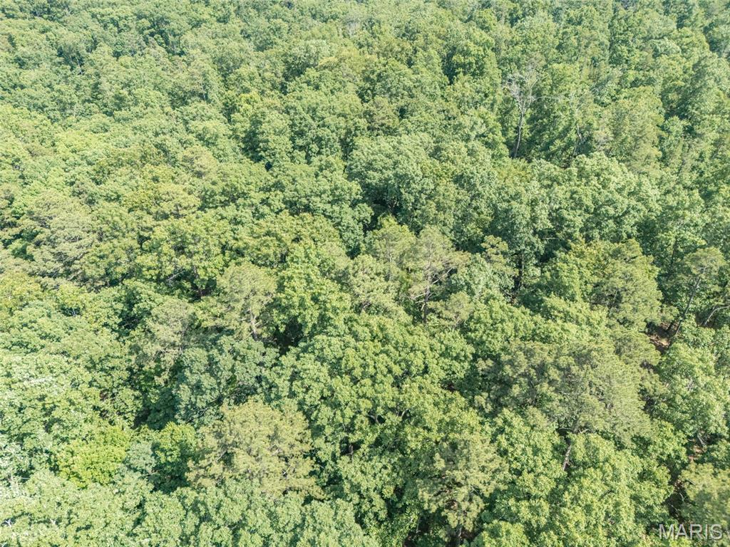 10130 Fish Hook Road Property Photo 24