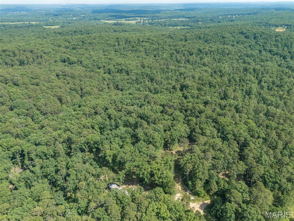 10130 Fish Hook Road Property Photo 25