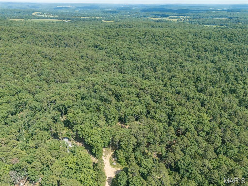 10130 Fish Hook Road Property Photo 26