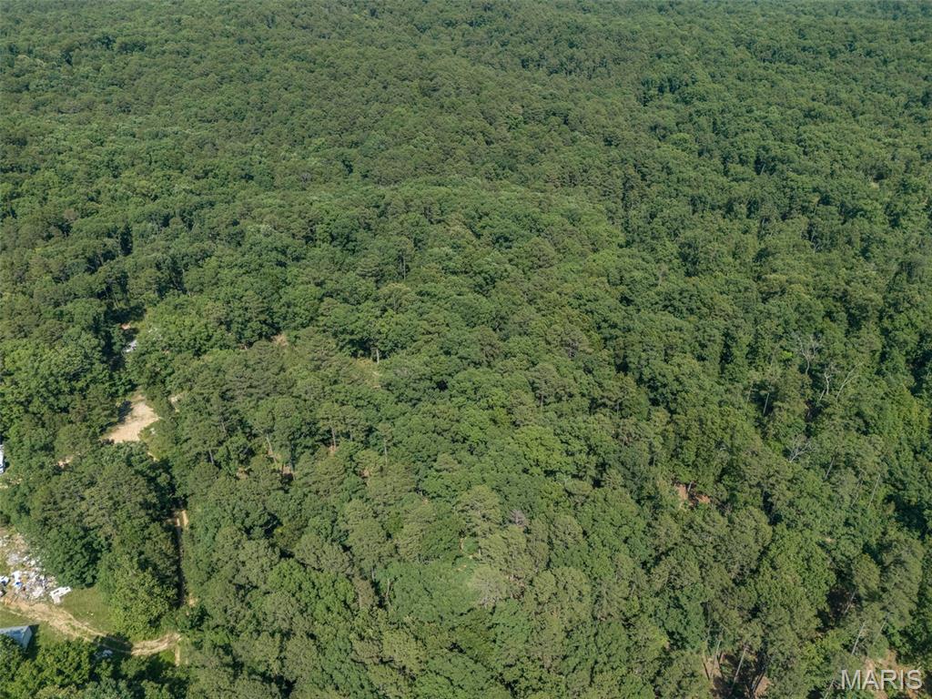 10130 Fish Hook Road Property Photo 27