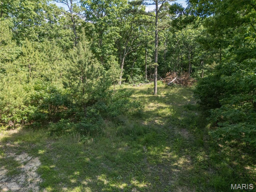 10130 Fish Hook Road Property Photo 28
