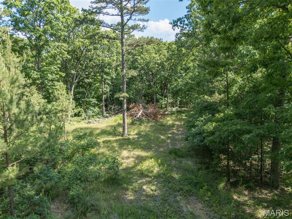 10130 Fish Hook Road Property Photo 29