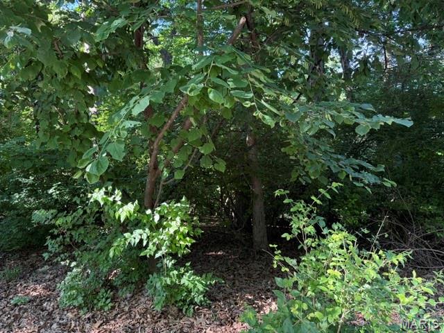 691 Castlecliff Road Property Photo 1