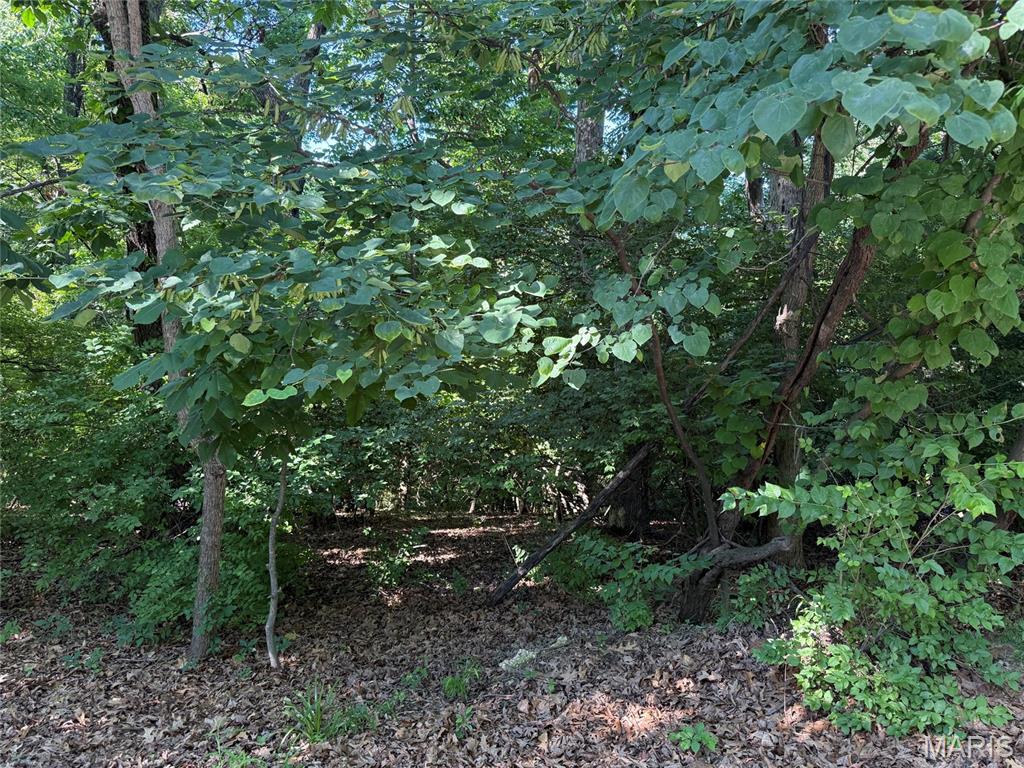 691 Castlecliff Road Property Photo 3