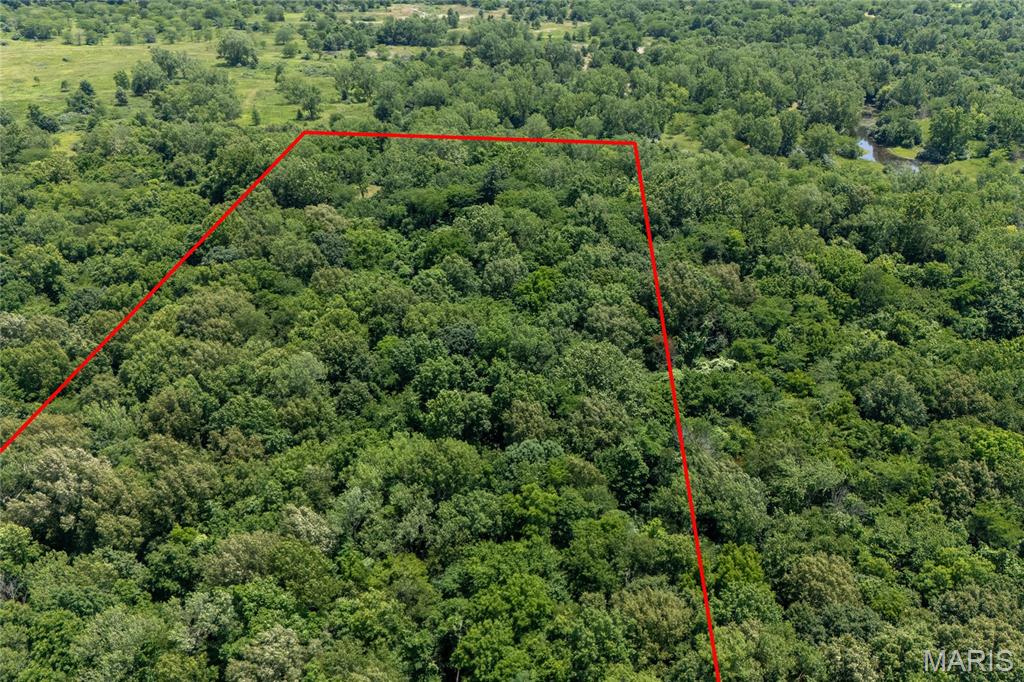 Tbd Elkville Rd Property Photo 4