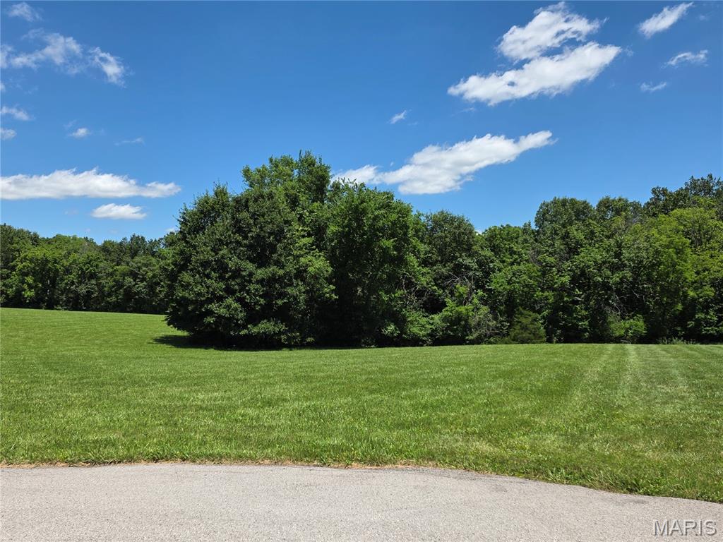 Lot 7 Iron Horse Trail Property Photo 3