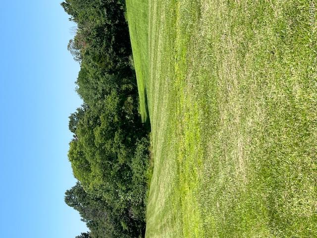 Lot 7 Iron Horse Trail Property Photo 6