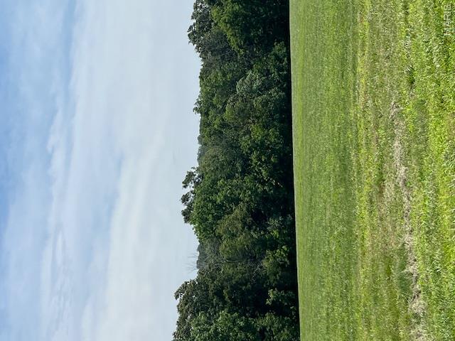 Lot 7 Iron Horse Trail Property Photo 8