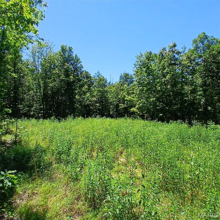 0000000 Easement Property Photo 1