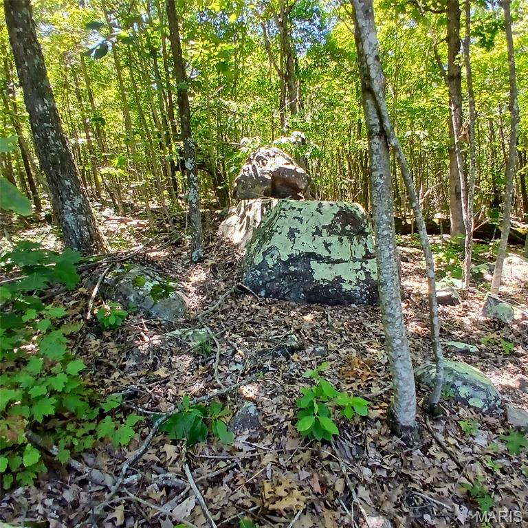 0000000 Easement Property Photo 3