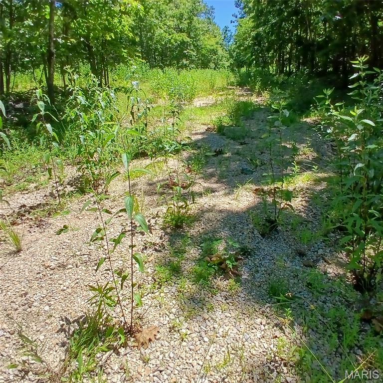 0000000 Easement Property Photo 4