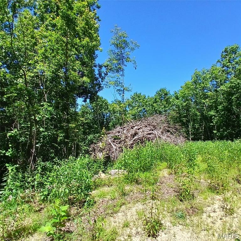 0000000 Easement Property Photo 5