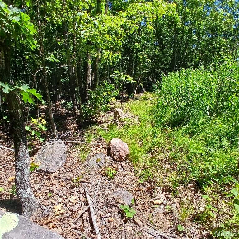 0000000 Easement Property Photo 6