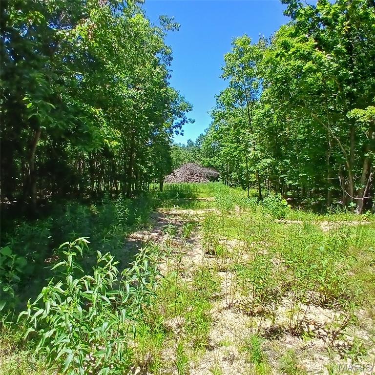 0000000 Easement Property Photo 7