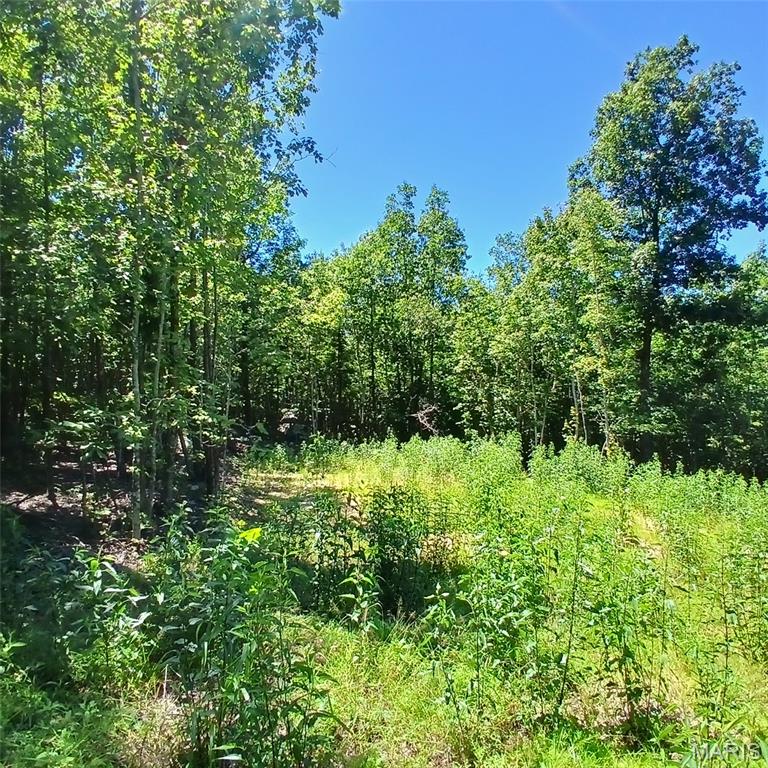 0000000 Easement Property Photo 8