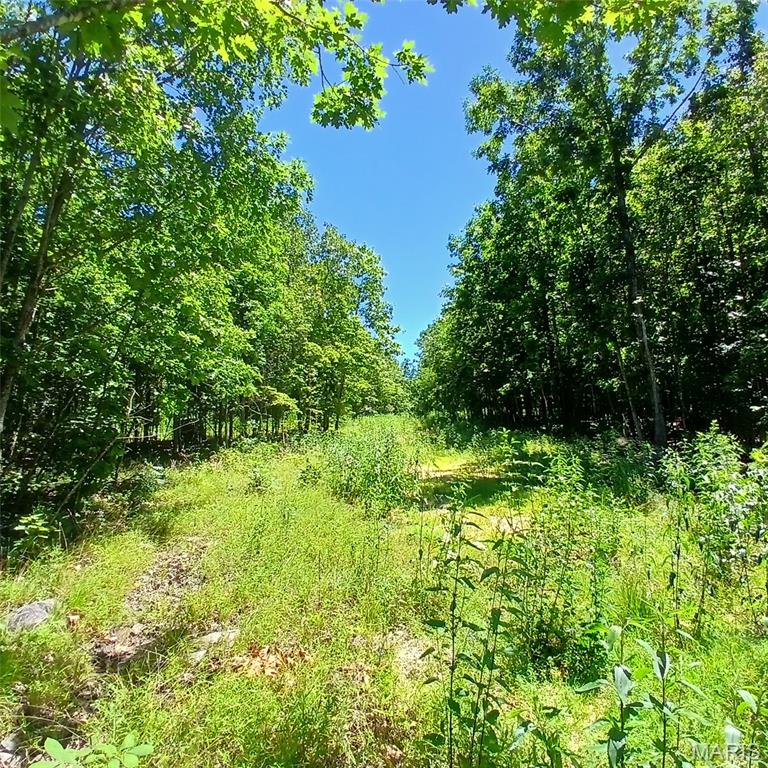 0000000 Easement Property Photo 9