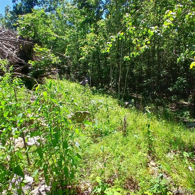 0000000 Easement Property Photo 10