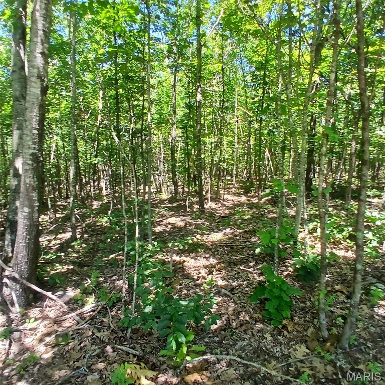 0000000 Easement Property Photo 11