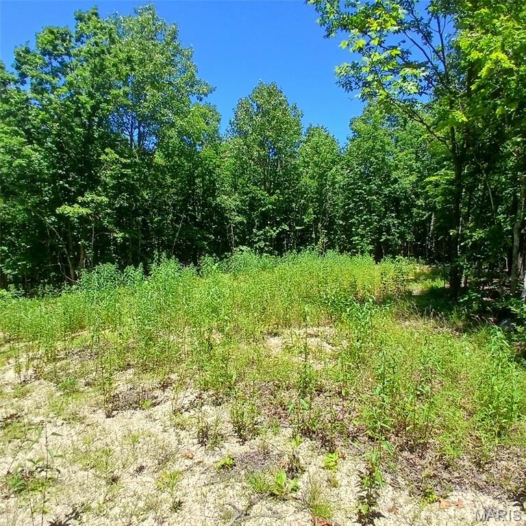 0000000 Easement Property Photo 12