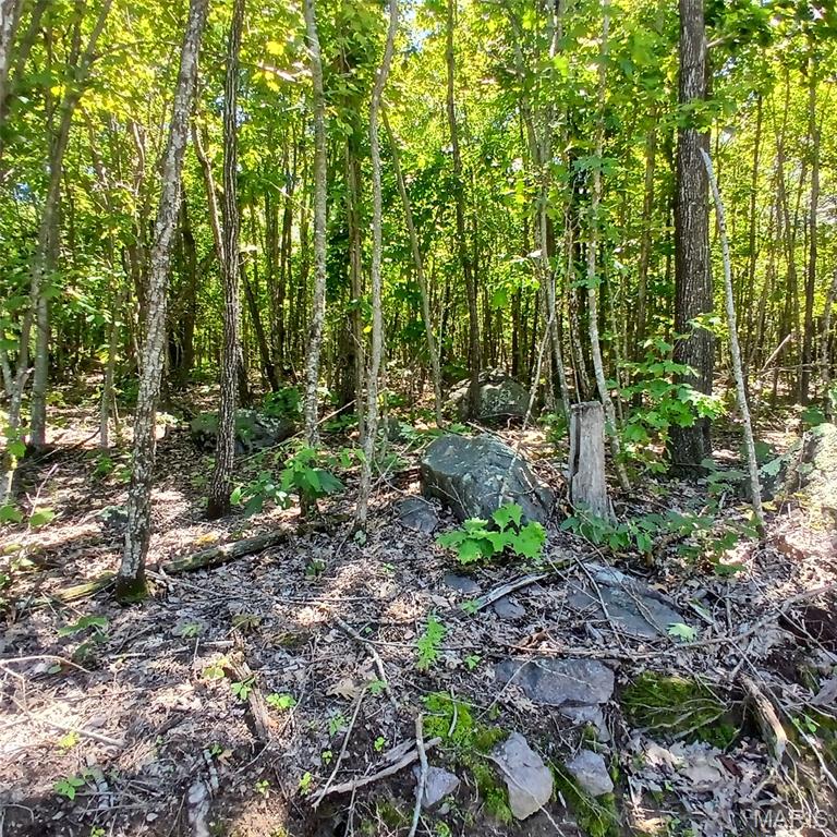 0000000 Easement Property Photo 13