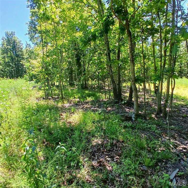 0000000 Easement Property Photo 14