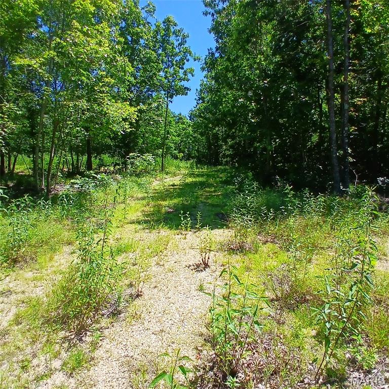 0000000 Easement Property Photo 15