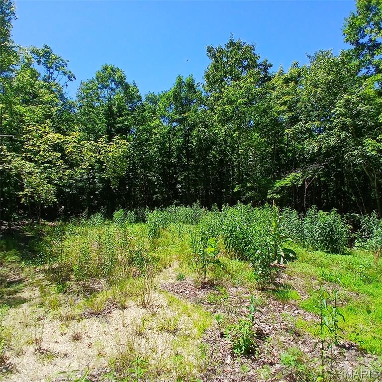 0000000 Easement Property Photo 16