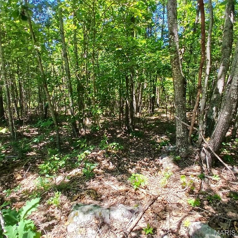 0000000 Easement Property Photo 17