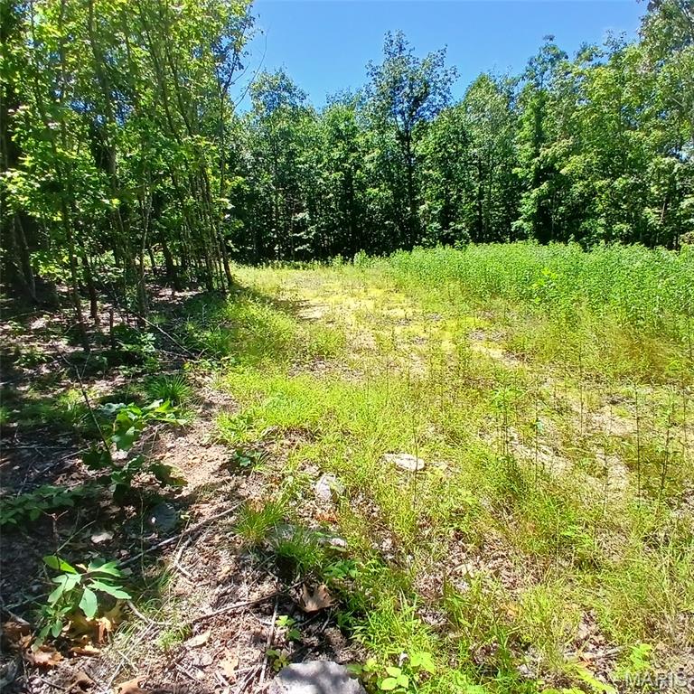0000000 Easement Property Photo 18