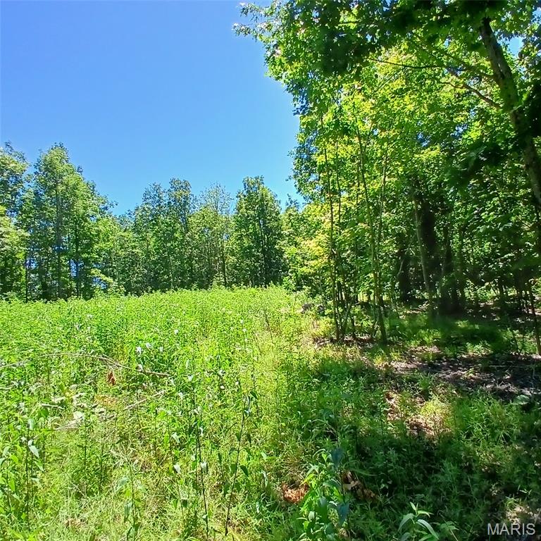 0000000 Easement Property Photo 19