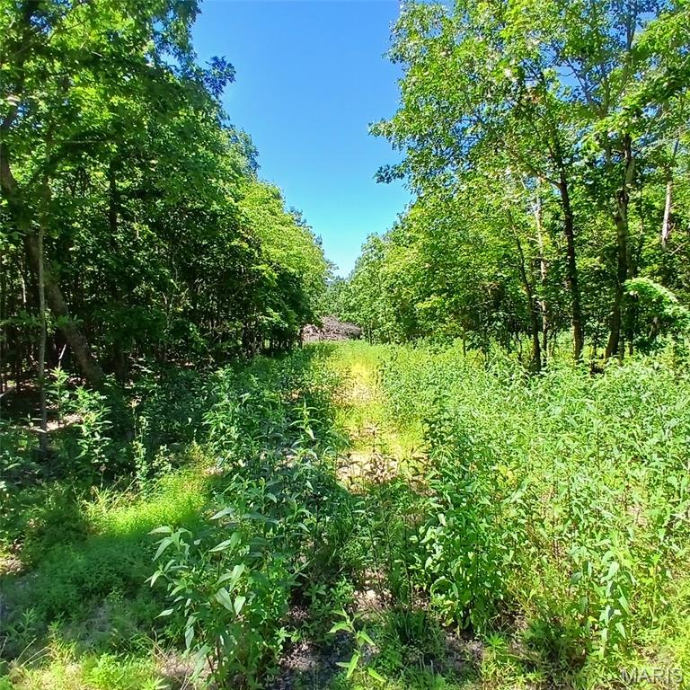 0000000 Easement Property Photo 20