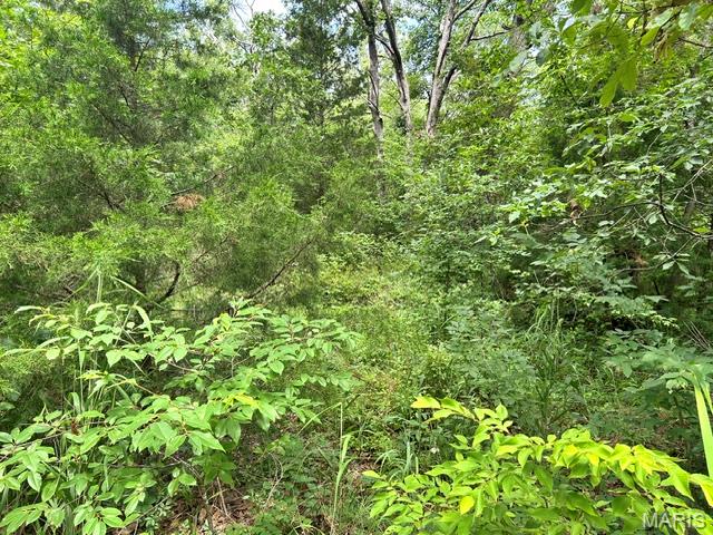 595 Utica Drive Property Photo 1