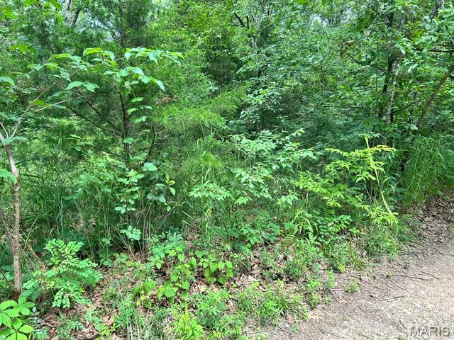 526 Tarkio Drive Property Photo 1
