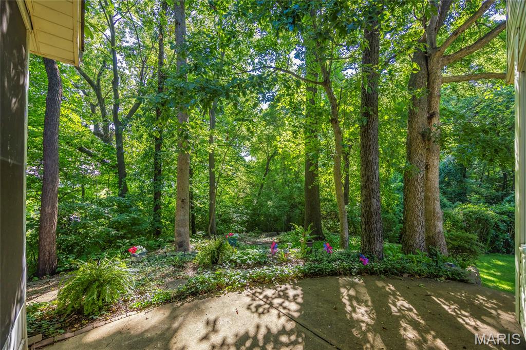 1148 Black Forest Drive Property Photo 35