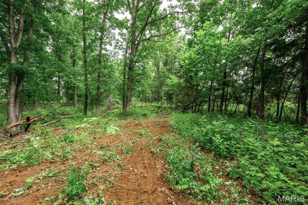 26 Halyon Estates Property Photo 7