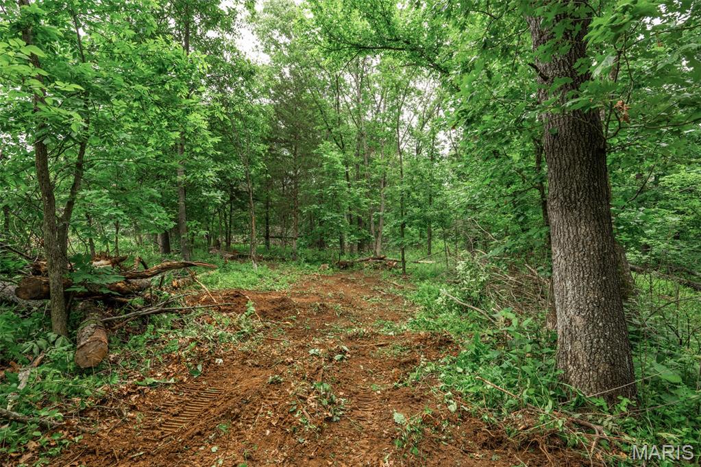 26 Halyon Estates Property Photo 8