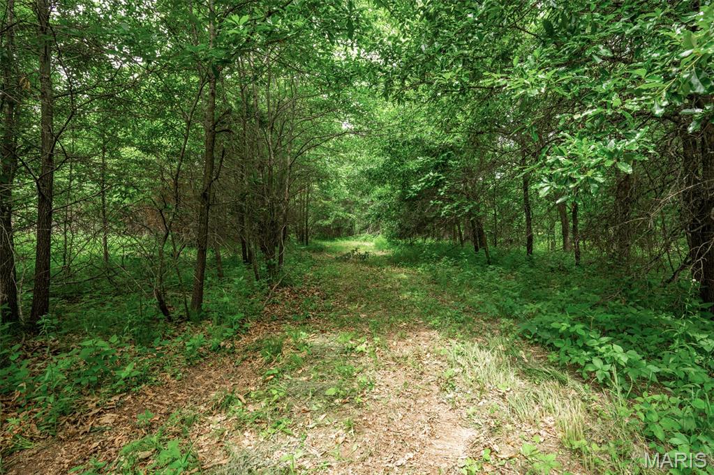 27 Halyon Estates Property Photo 8